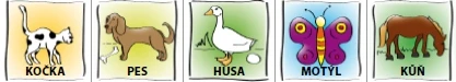3559-pexeso-cj.jpg