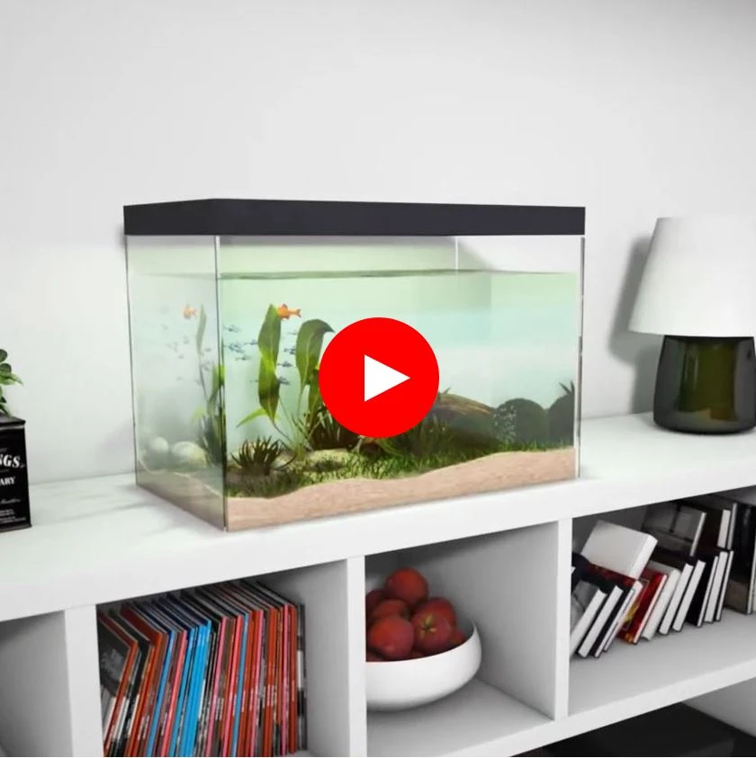 web_video_akvarium Instrukt&aacute;žne vide&aacute;, videon&aacute;vody SOUDAL